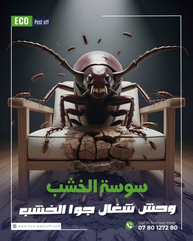 سوسة الخشب: العدو الصامت داخل منزلك وأثاثك