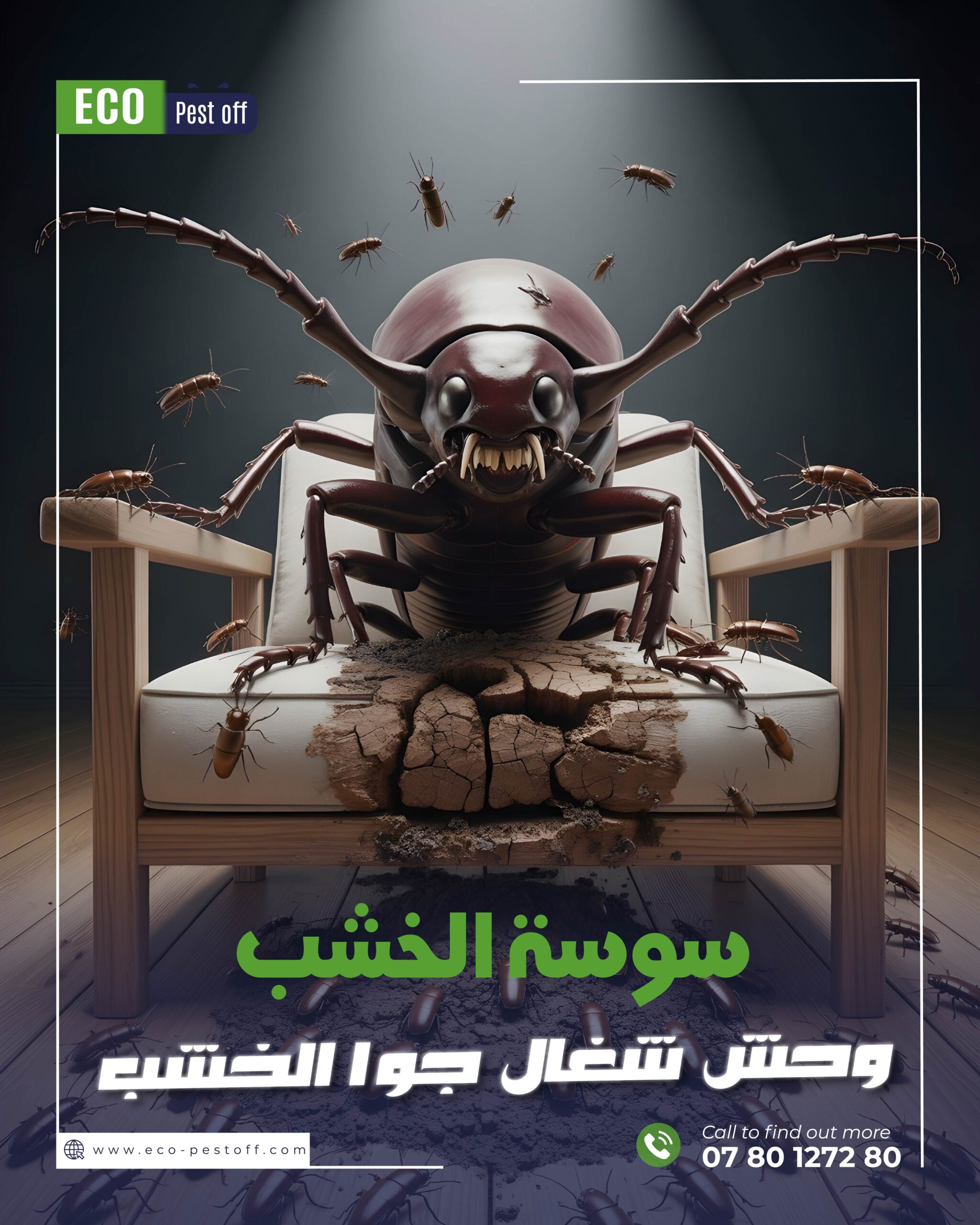 سوسة الخشب: العدو الصامت داخل منزلك وأثاثك