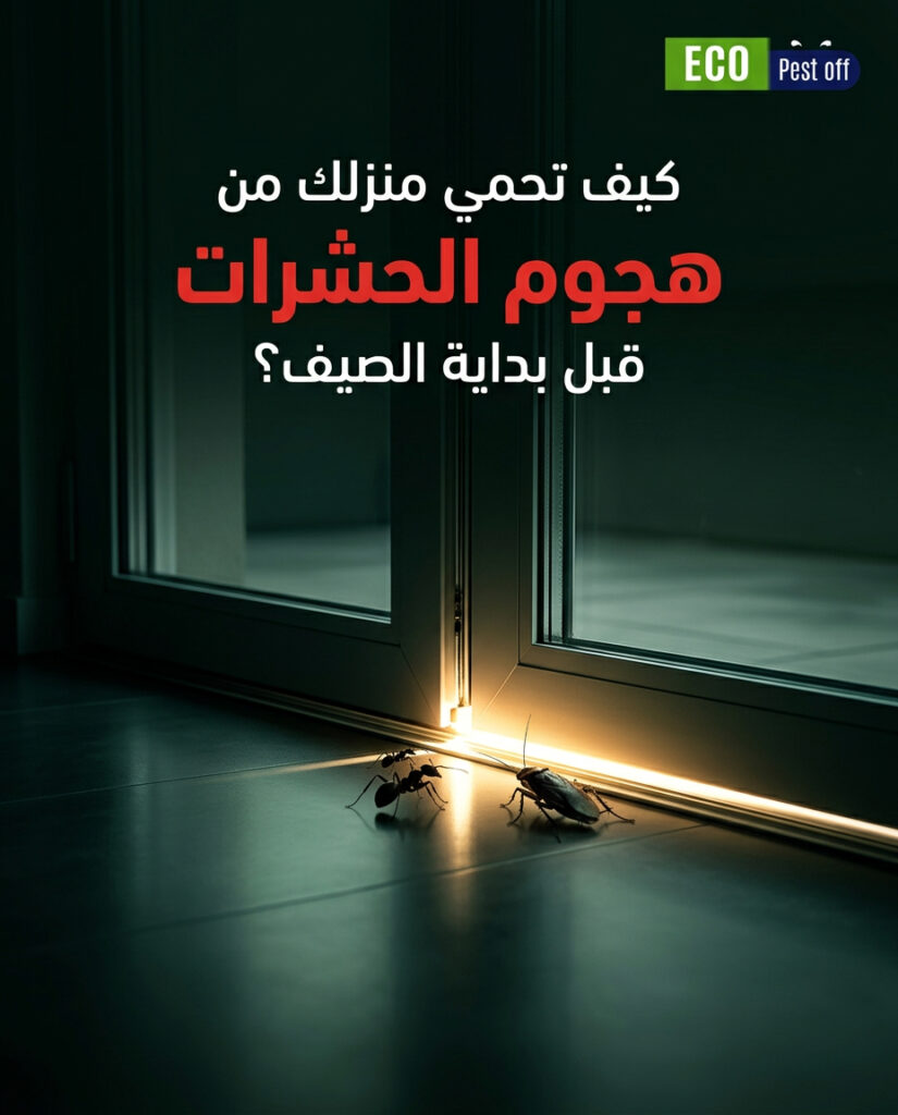 كيف تحمي منزلك من هجوم الحشرات قبل بداية الصيف؟ (خطوات وقائية وعلامات تحذيرية)